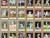 Collection of signed cricket player profile autograph collectors cards