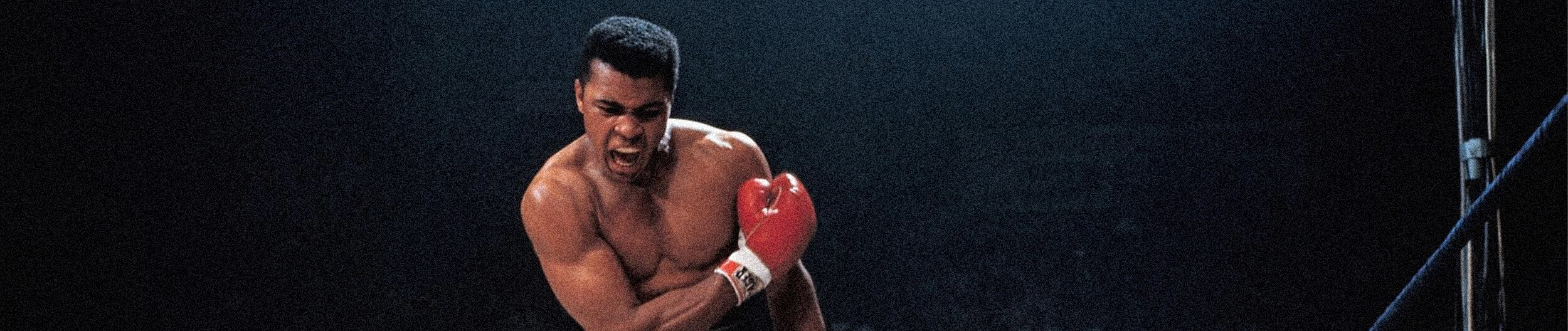 Boxing Memorabilia