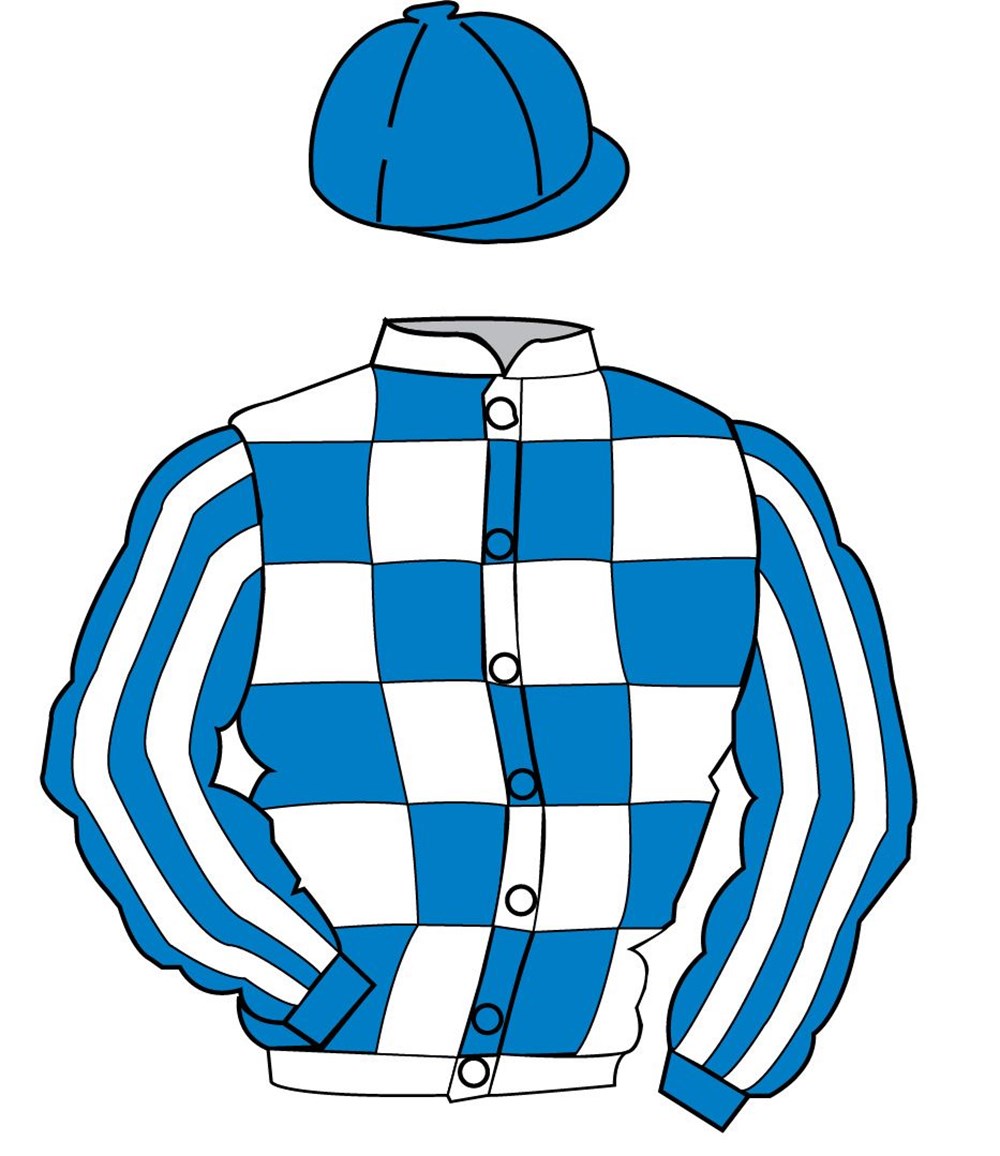 Royal Blue and White check horseracing colours